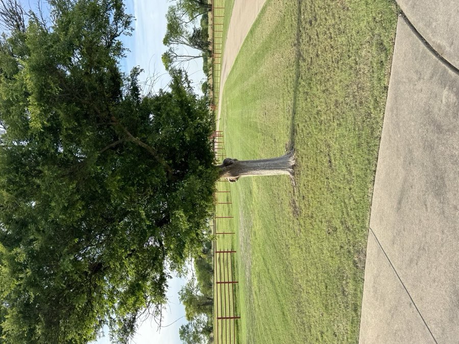 Fencing by Rebel Creek Construction