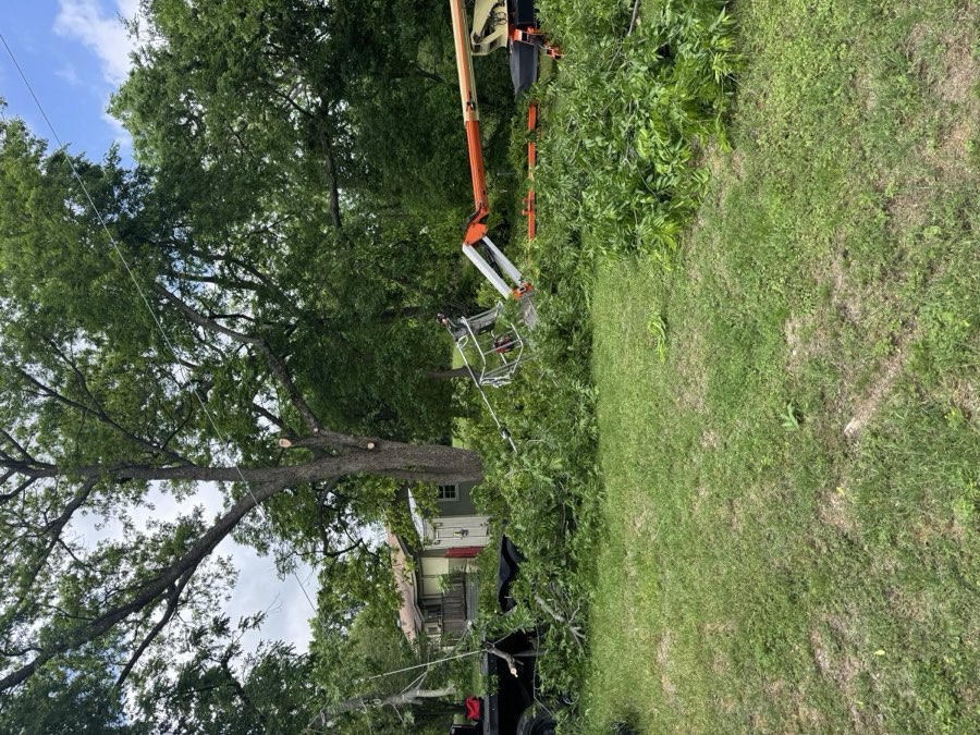Tree & Forestry by Rebel Creek Construction